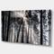 Designart - Sunbeams through Black White Forest - Forest Canvas Wall Art Print